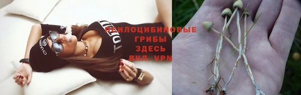 первитин Лабытнанги