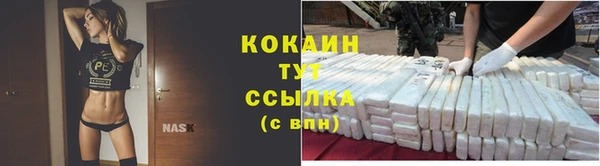 Альфа ПВП Лагань
