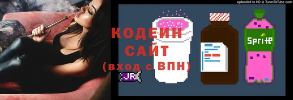 Альфа ПВП Лагань