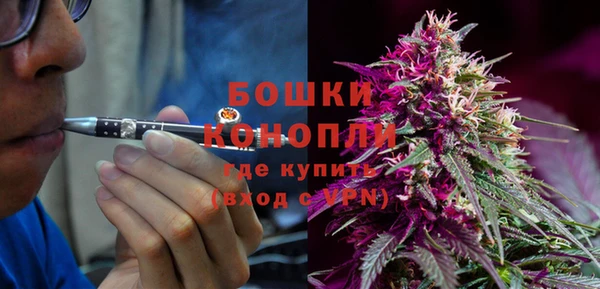 Альфа ПВП Лагань