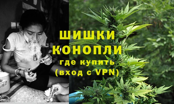 Альфа ПВП Лагань