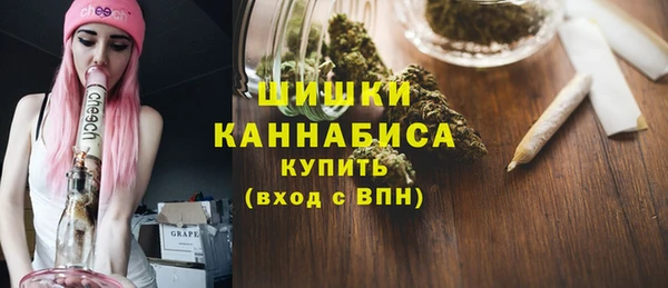 Альфа ПВП Лагань